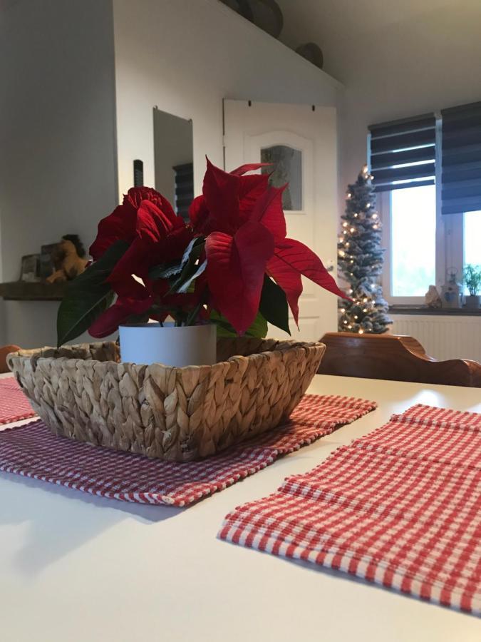 Siedlisko Farmhouse Okszow Bagian luar foto
